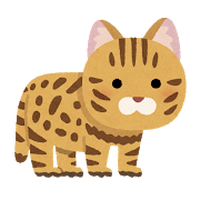 HP用の画像がなくて困ってる猫