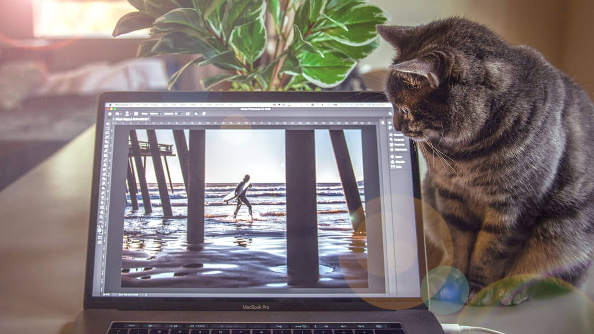あなたにぴったりのPhotoshopプランが見つかる【タイプ別購入方法】